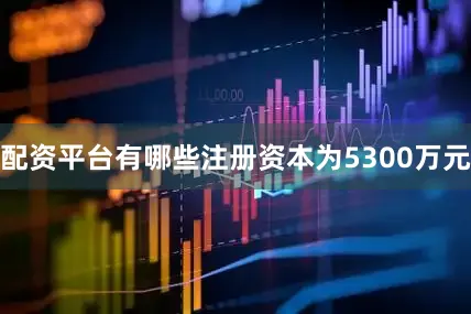 配资平台有哪些注册资本为5300万元