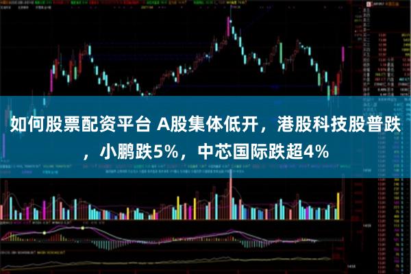 如何股票配资平台 A股集体低开，港股科技股普跌，小鹏跌5%，中芯国际跌超4%