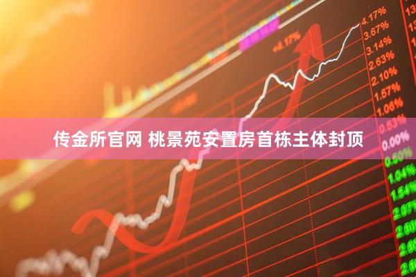 传金所官网 桃景苑安置房首栋主体封顶
