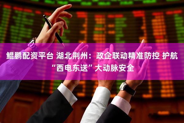 鲲鹏配资平台 湖北荆州：政企联动精准防控 护航“西电东送”大动脉安全