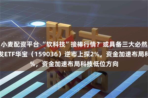 小麦配资平台 “软科技”接棒行情？或具备三大必然性！软件开发ETF华宝（159036）逆市上探2%，资金加速布局科技低位方向