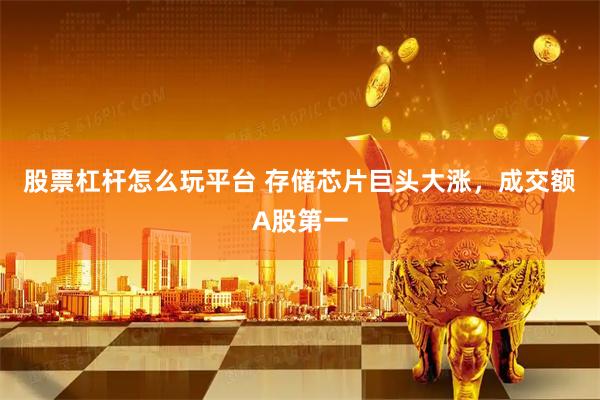 股票杠杆怎么玩平台 存储芯片巨头大涨，成交额A股第一